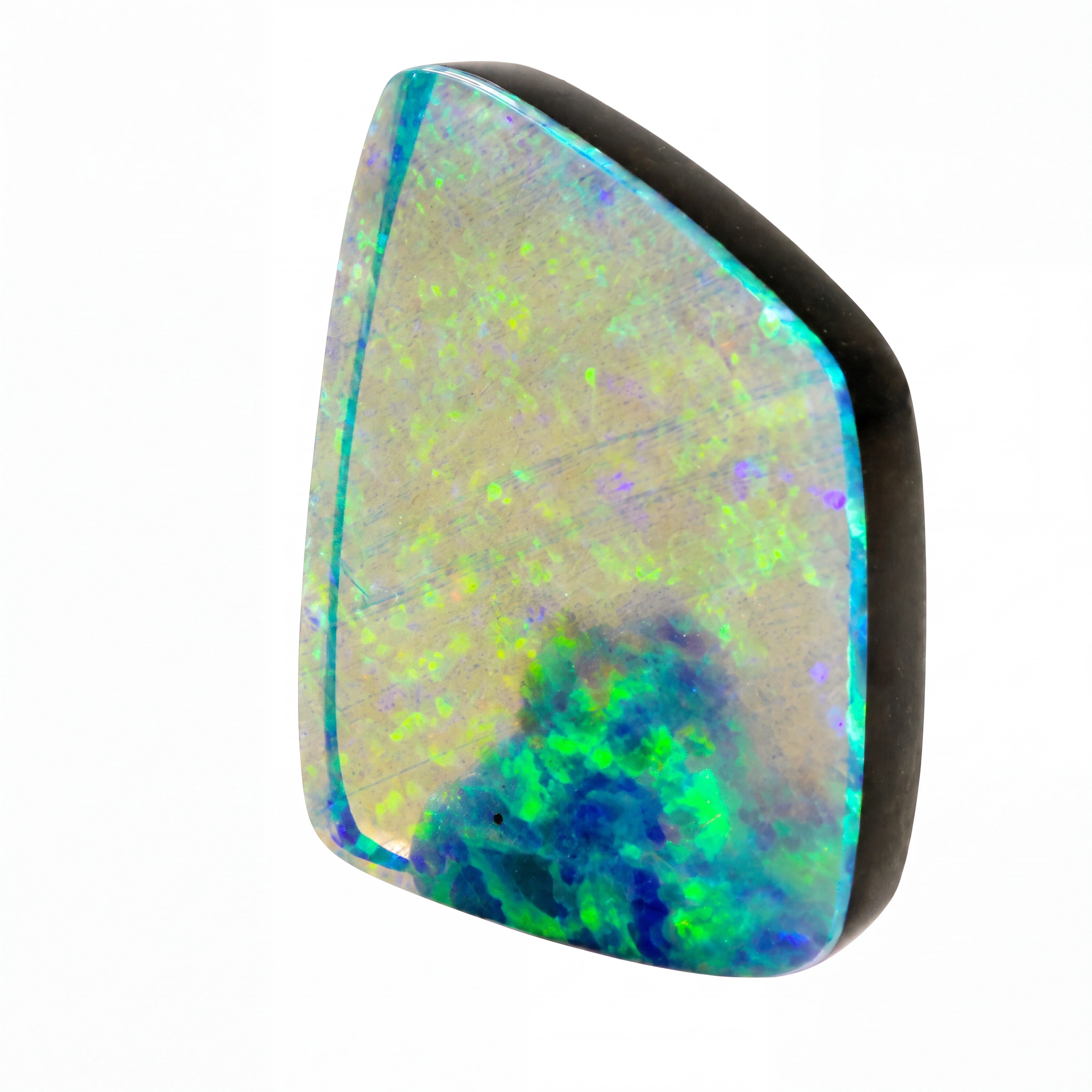 A polished natural opal gemstone with a dark black border, displaying vibrant iridescent flashes of blue, green, and yellow on a white background.