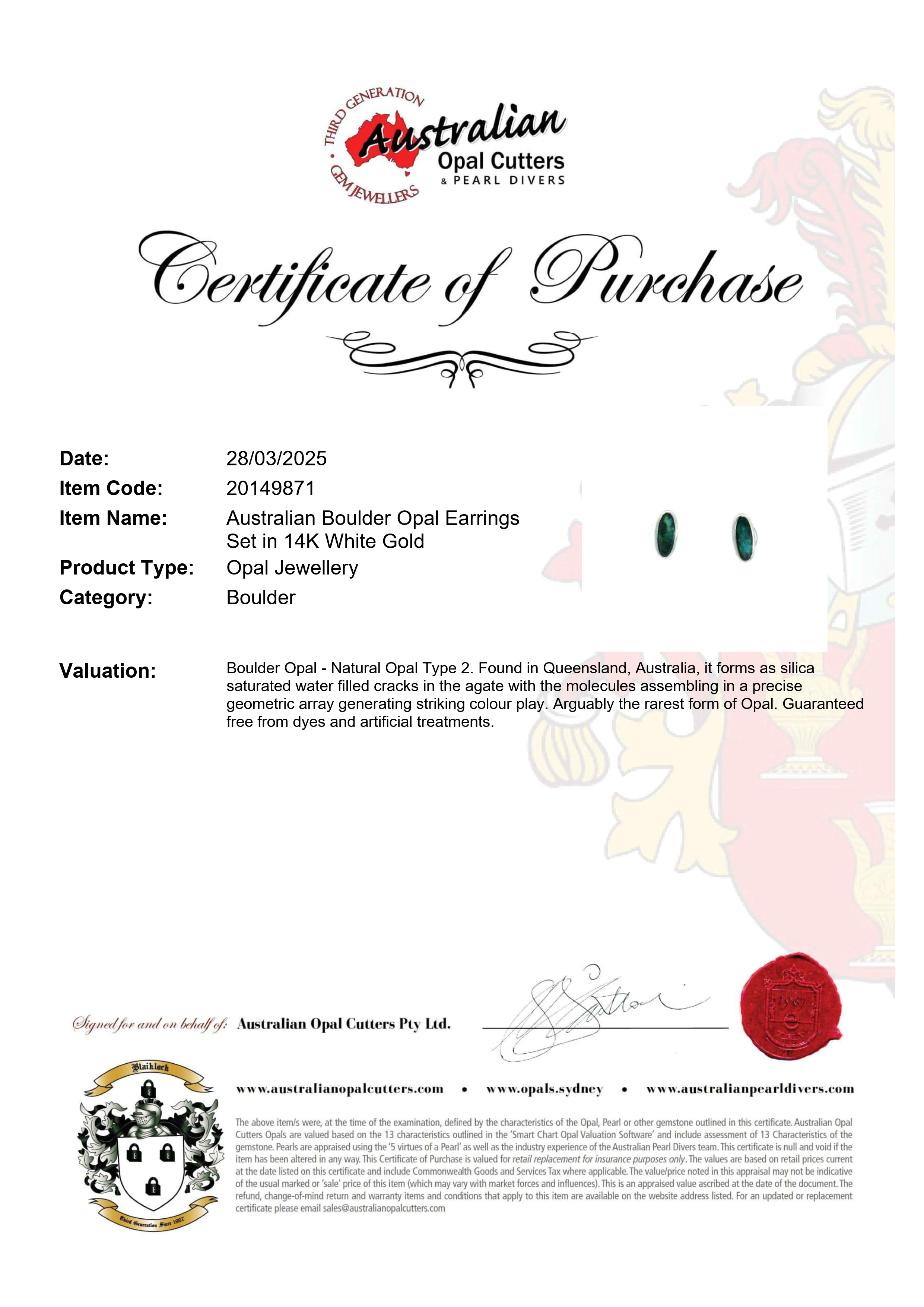 Boulder Opal Earrings in 14K White Gold - Green-Blue