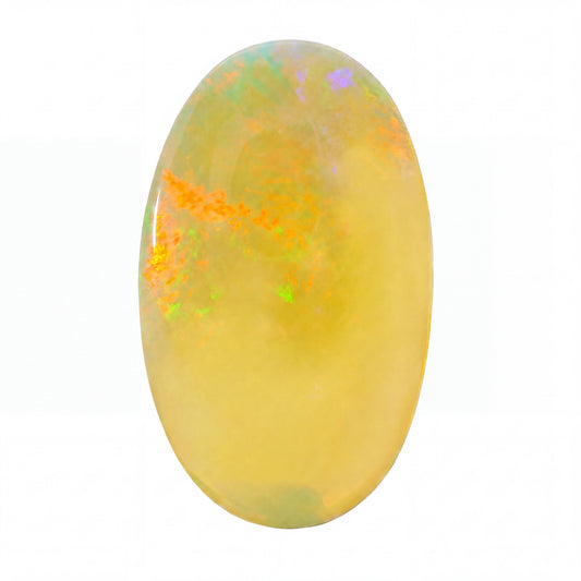 A polished oval cabochon gemstone with a soft yellow body and vibrant iridescent flashes of orange, green, blue, and purple, set against a plain white background.