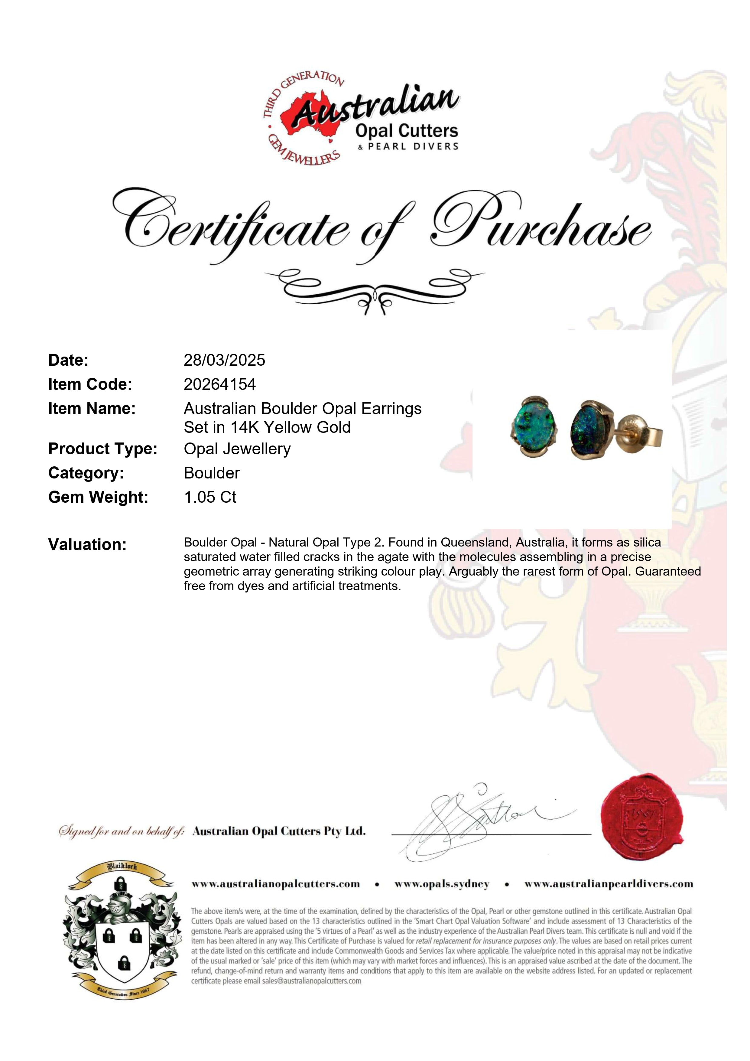 Boulder Opal Earrings in 14K White Gold - Multicolour