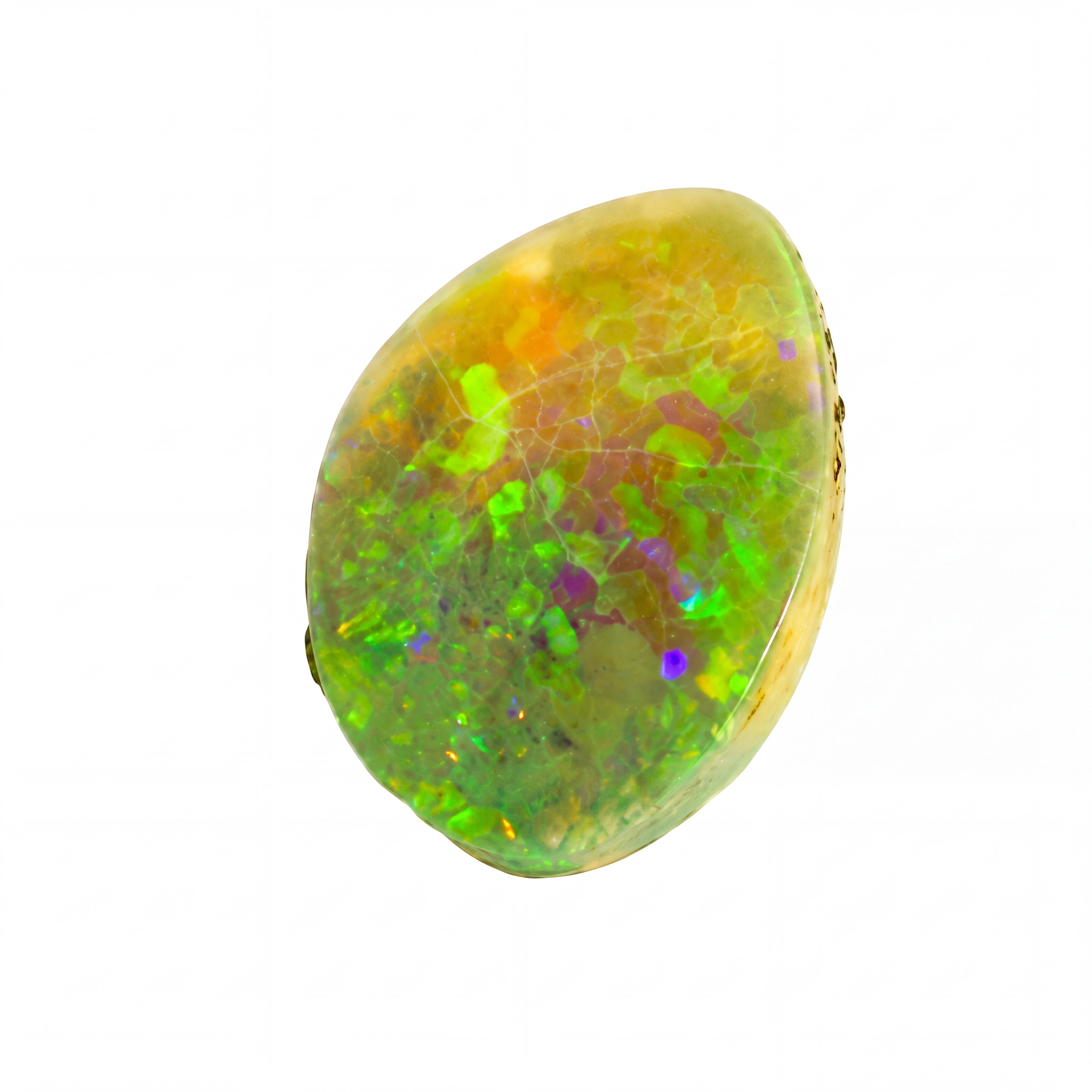 A polished oval cabochon gemstone featuring a vibrant play-of-colour with green, yellow, orange, and purple iridescence on a solid white background.