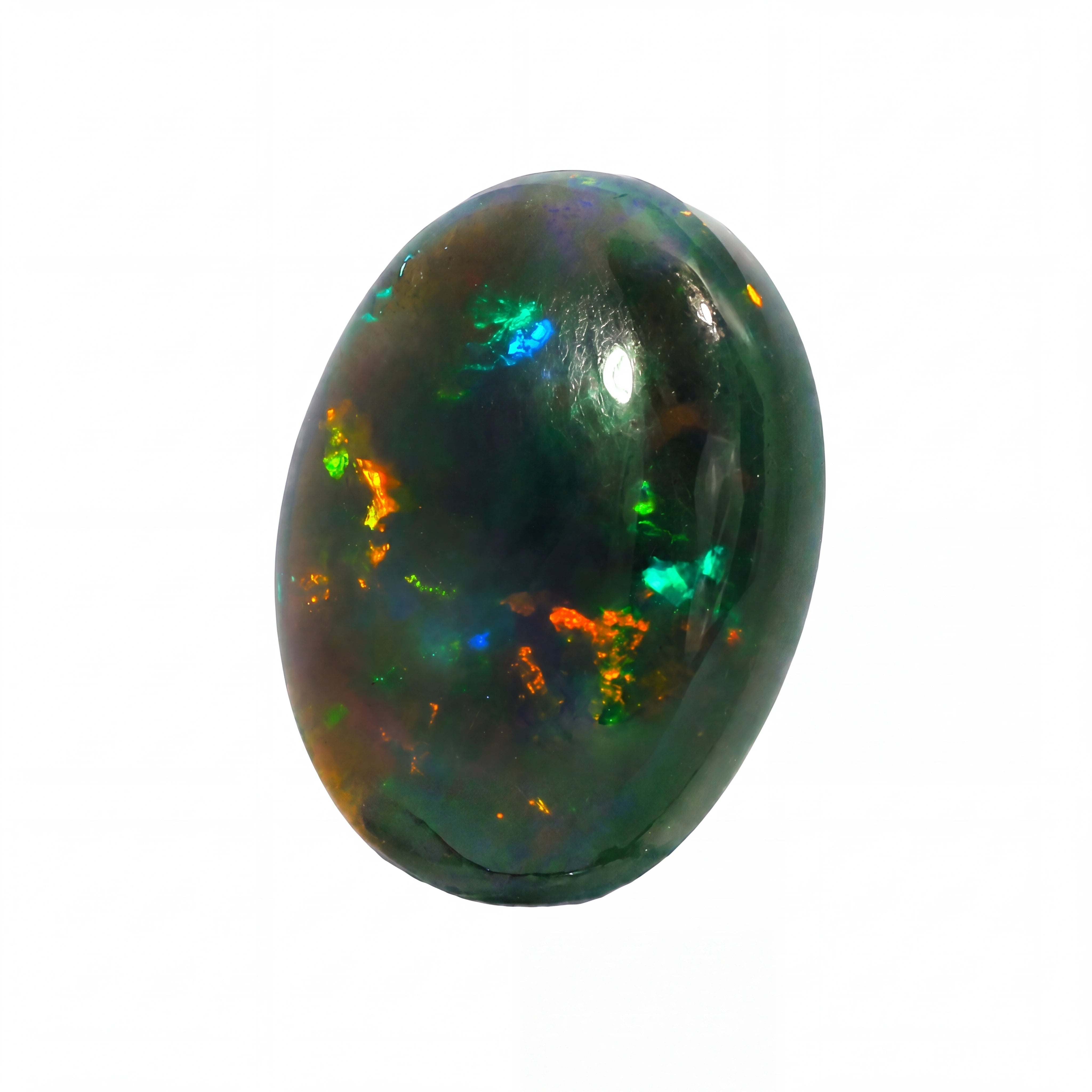A polished oval opal gemstone displaying a dark green and black base with vibrant flashes of blue, green, orange, and yellow, isolated on a white background.