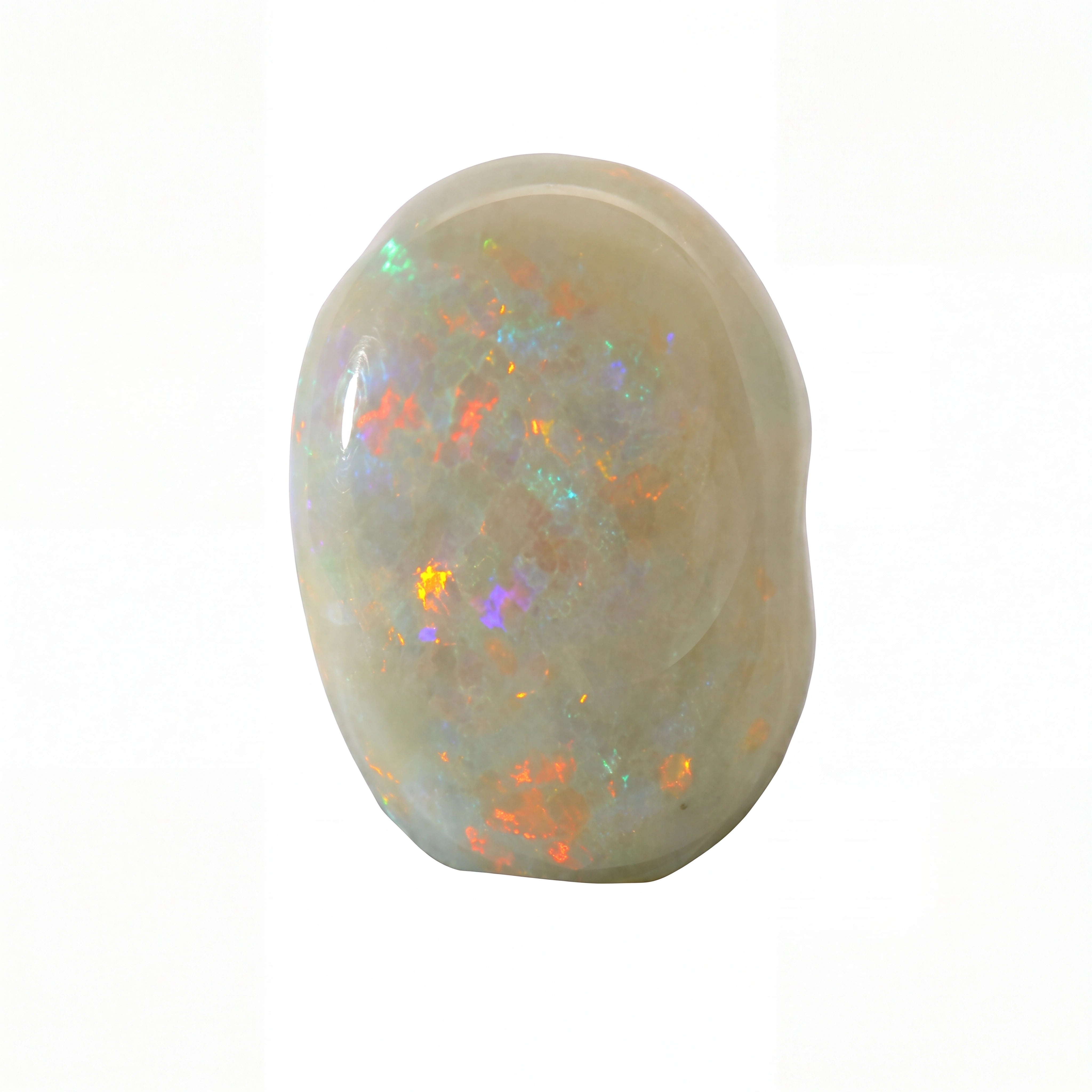 A polished white opal gemstone with vibrant, shifting iridescent flashes of orange, green, blue, and purple, set against a plain white background.