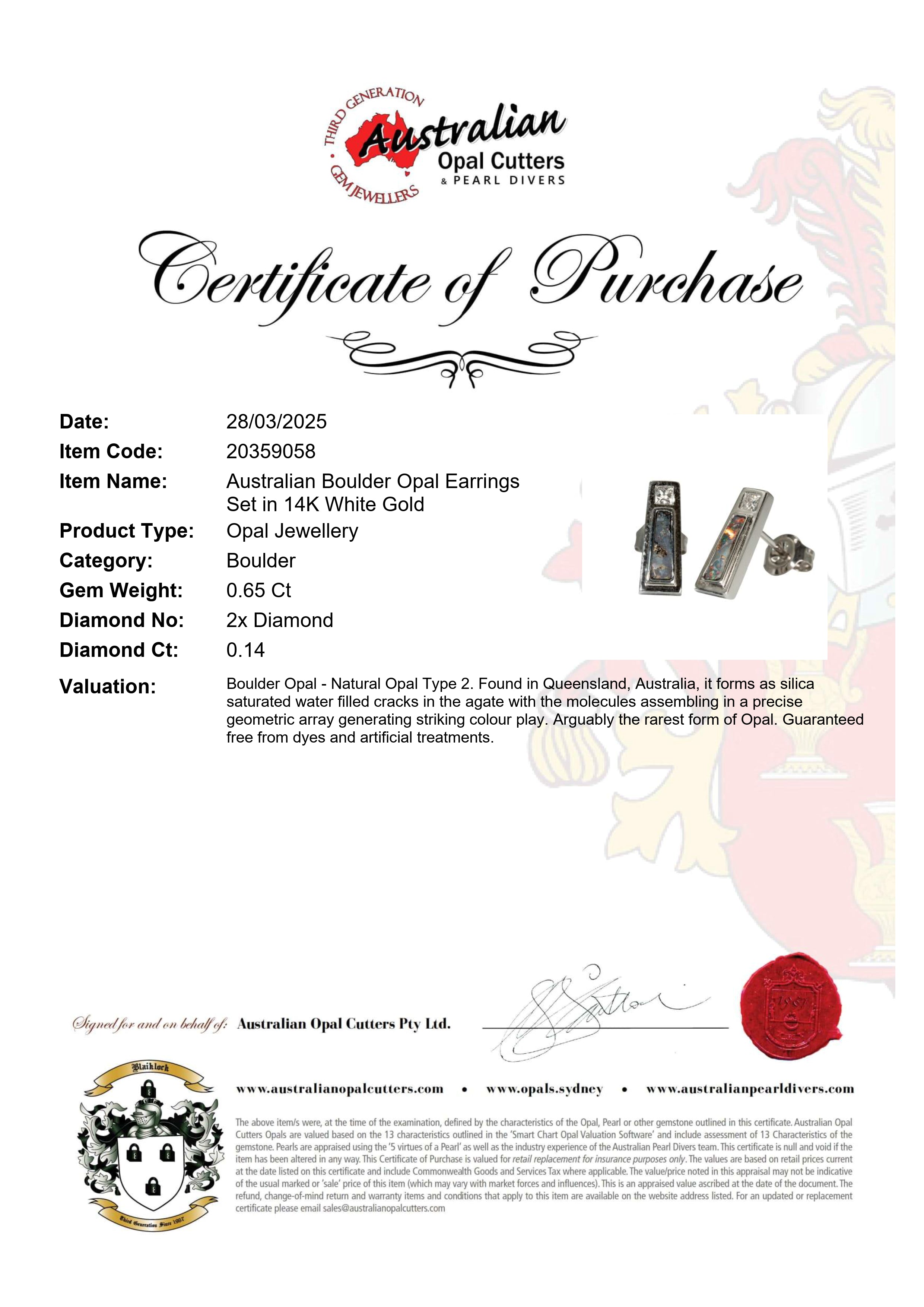 Boulder Opal Earrings in 14K White Gold - Multicolour