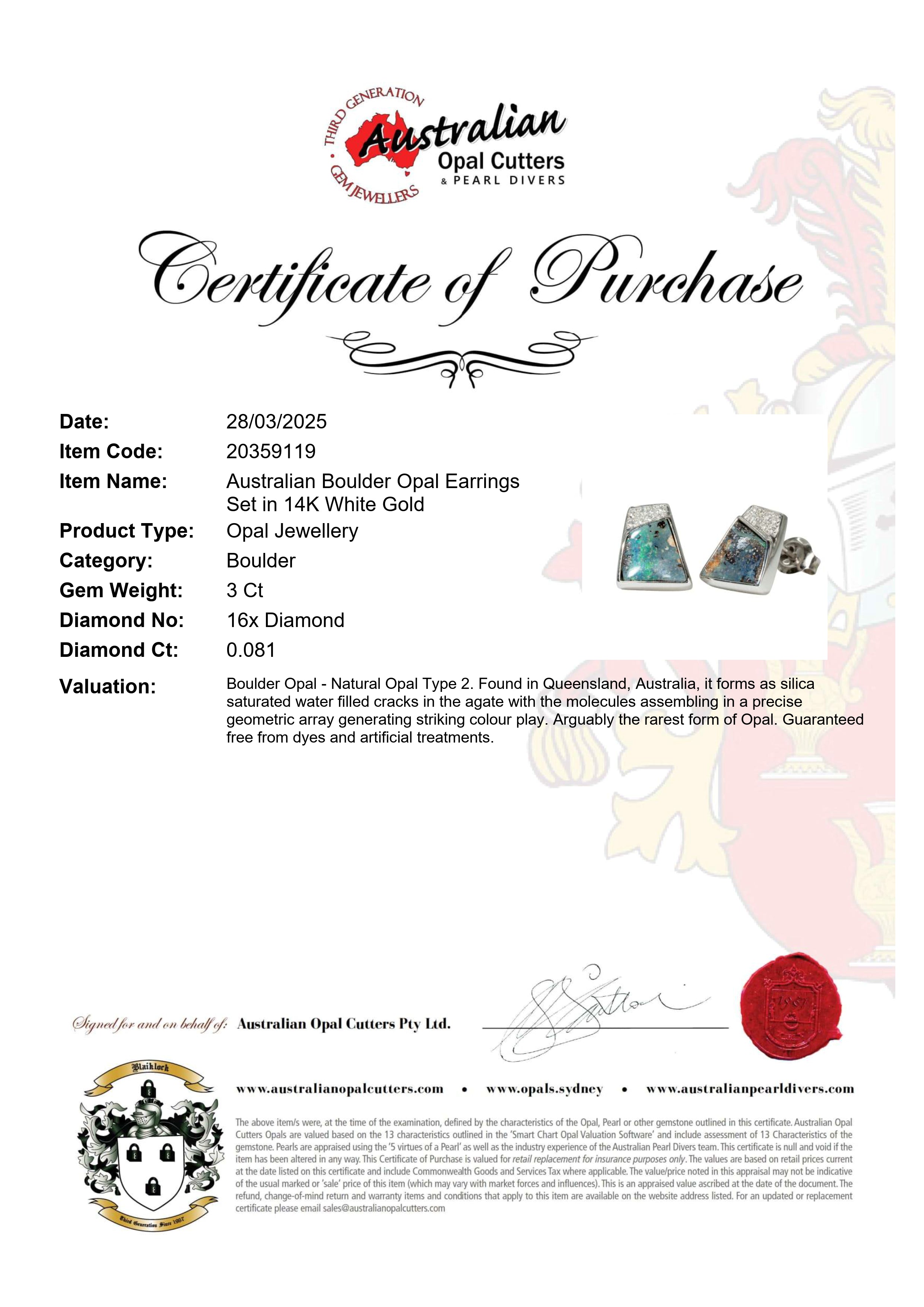 Boulder Opal Earrings in 14K White Gold - Multicolour