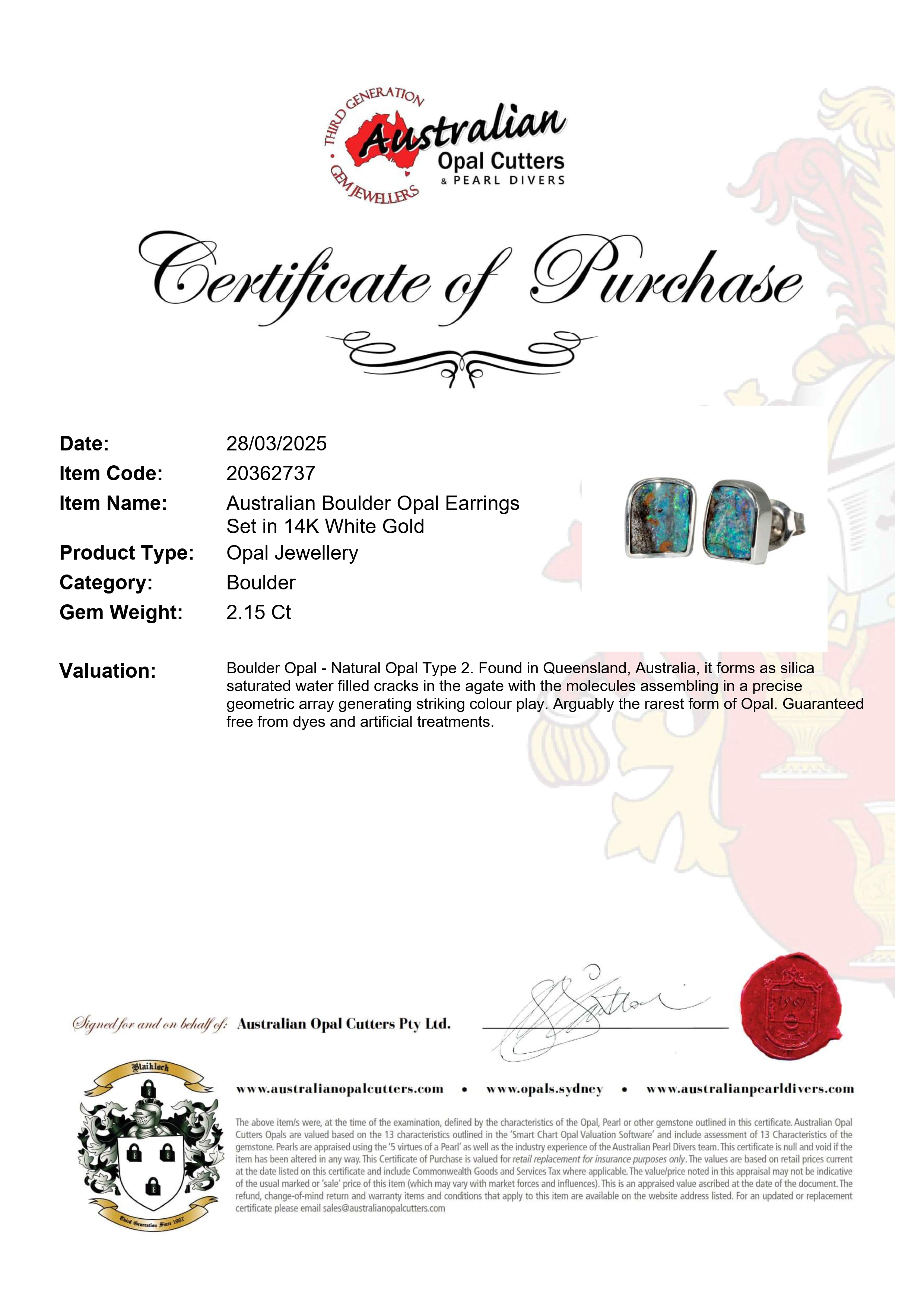 Boulder Opal Earrings in 14K White Gold - Green-Blue