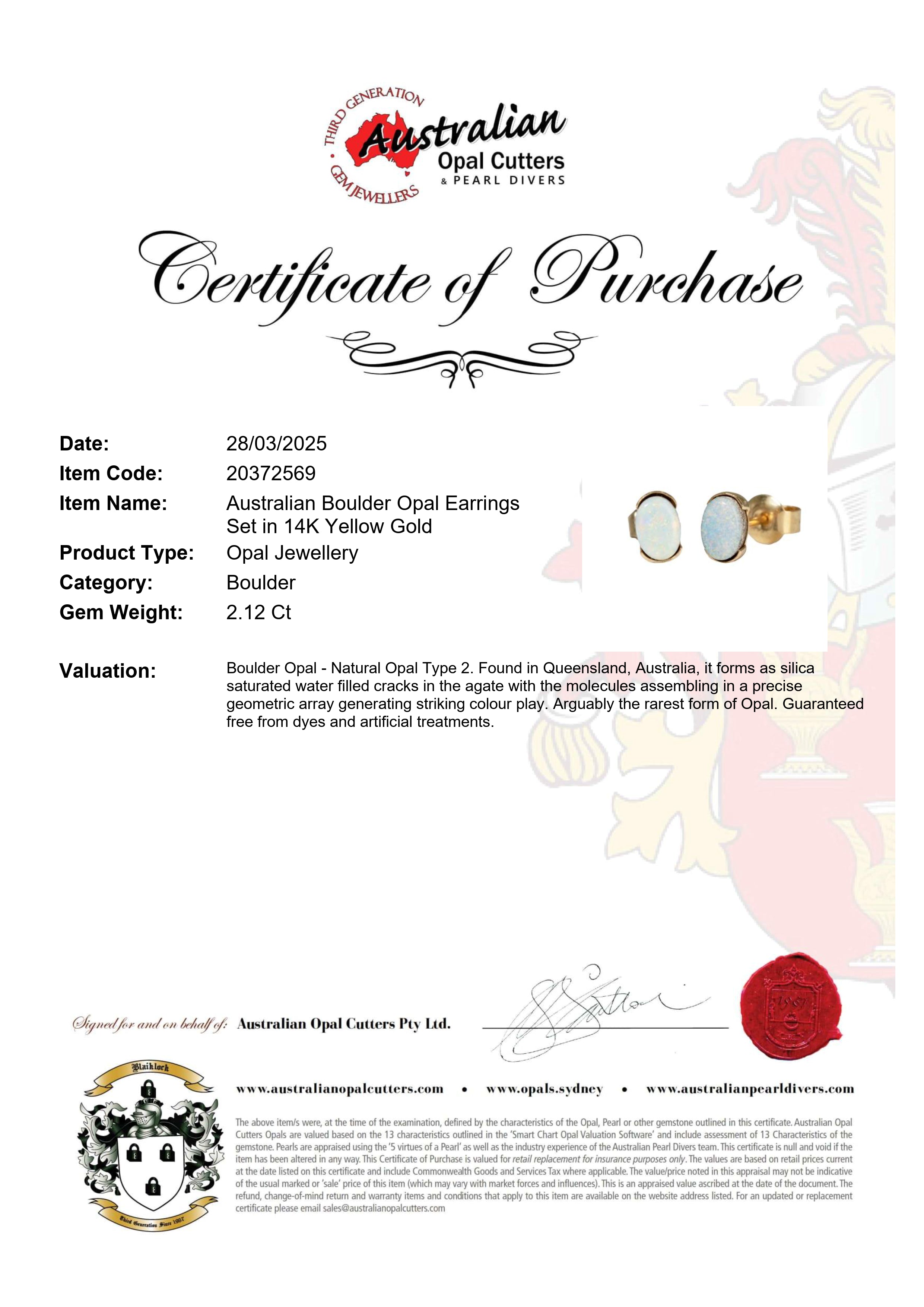 Boulder Opal Earrings in 14K Yellow Gold - Multicolour