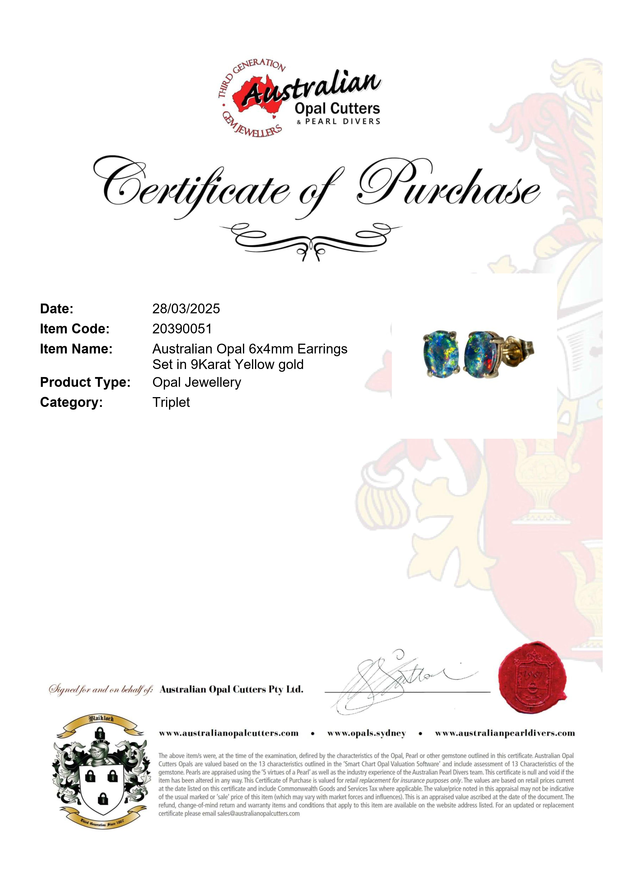 Triplet Opal Earrings in 9K Yellow Gold - Multicolour