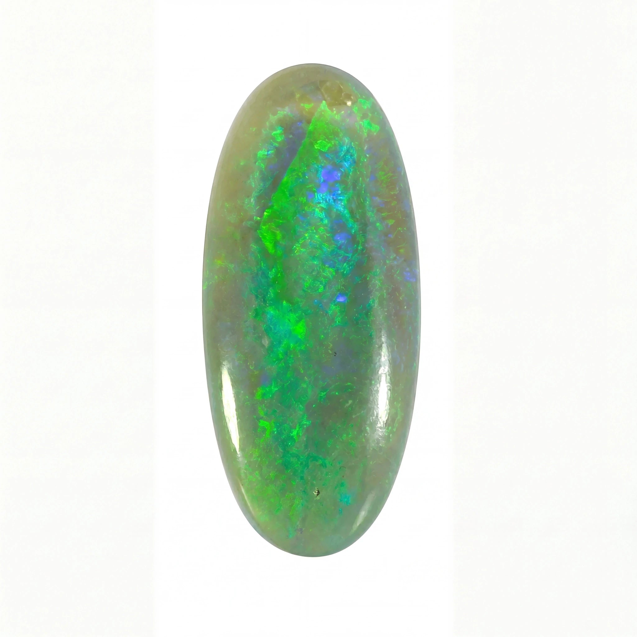 A polished oval cabochon opal gemstone displaying vibrant green, blue, and grey flashes on a white background.