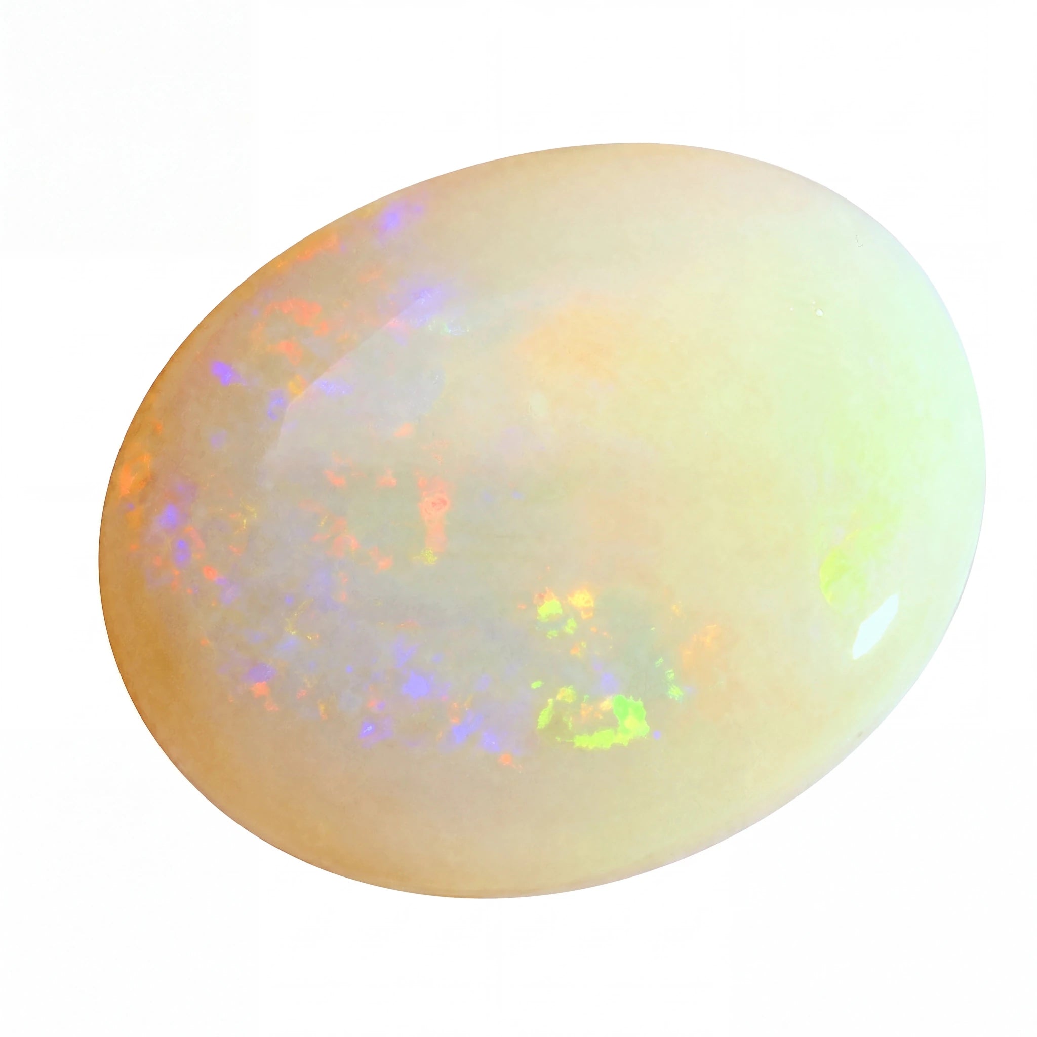 A polished oval cabochon opal gemstone with a creamy off-white base and vibrant, shifting flashes of orange, green, and purple, isolated on a white background.
