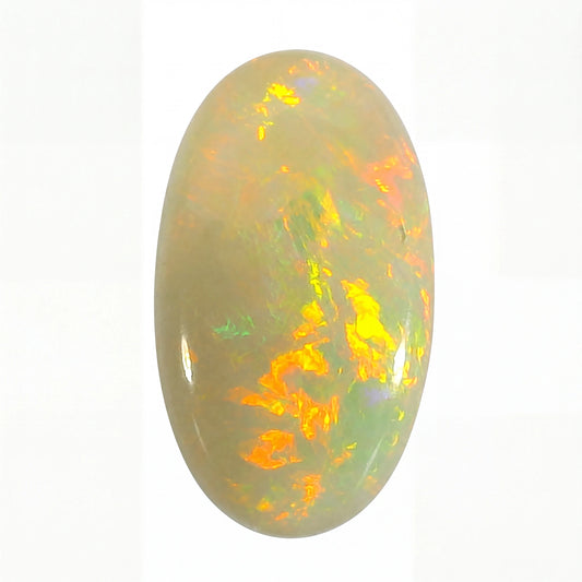 Oval-shaped opal gemstone with multicoloured play of light on a white background