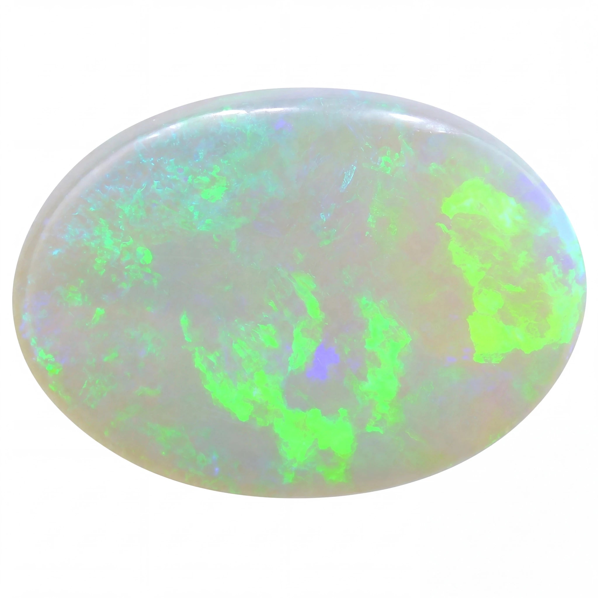 A polished oval cabochon opal gemstone displaying vibrant neon green, blue, and purple flashes against a white and pale grey base, isolated on a solid white background.