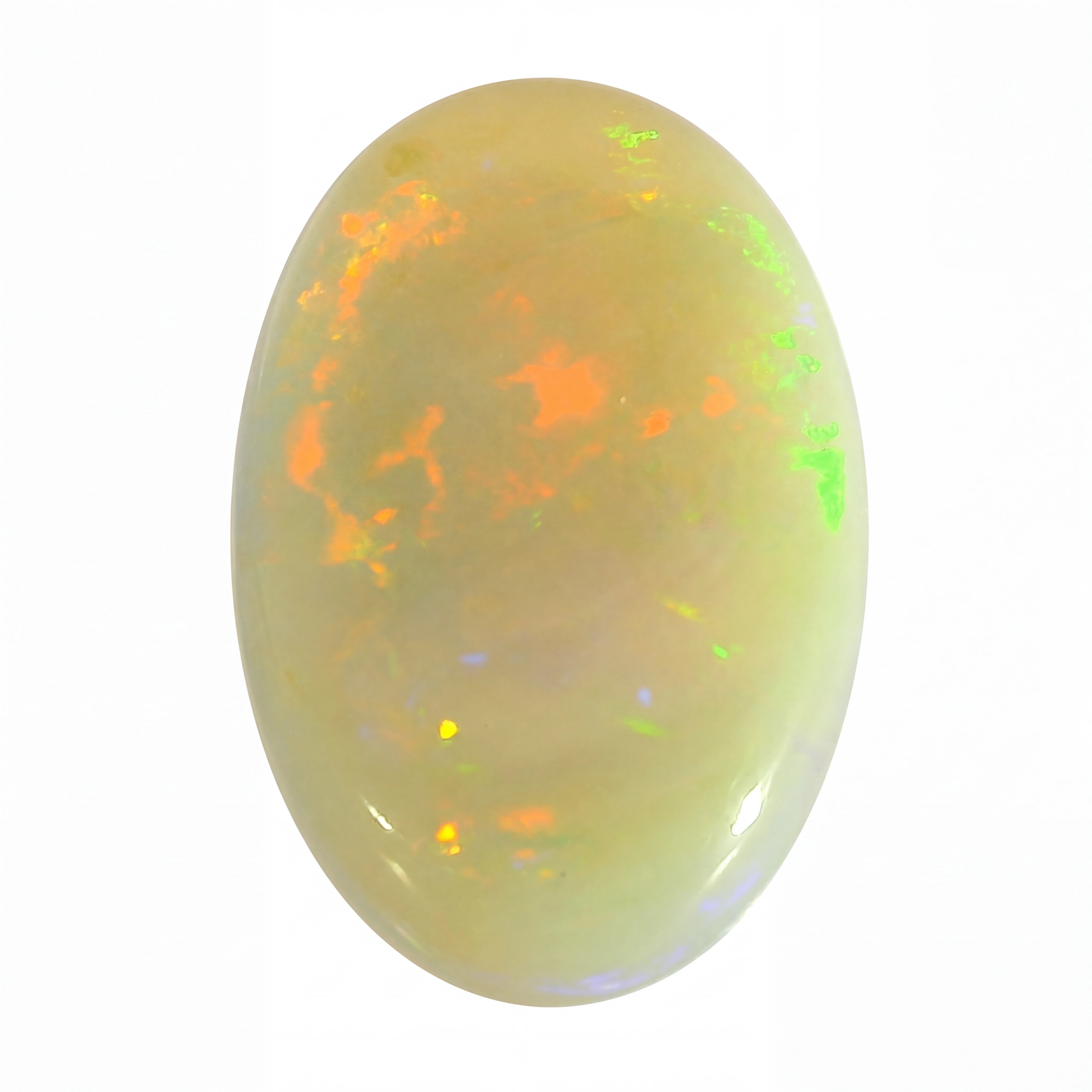 Oval-shaped opal gemstone with multicoloured play of light on a white background