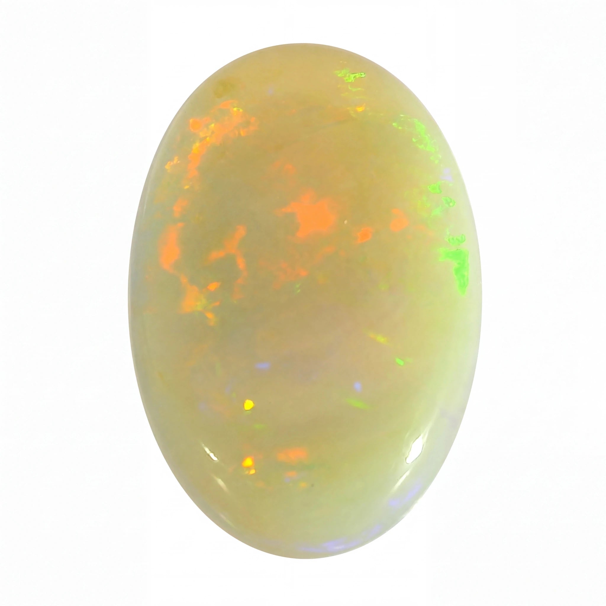 Oval-shaped opal gemstone with multicoloured play of light on a white background