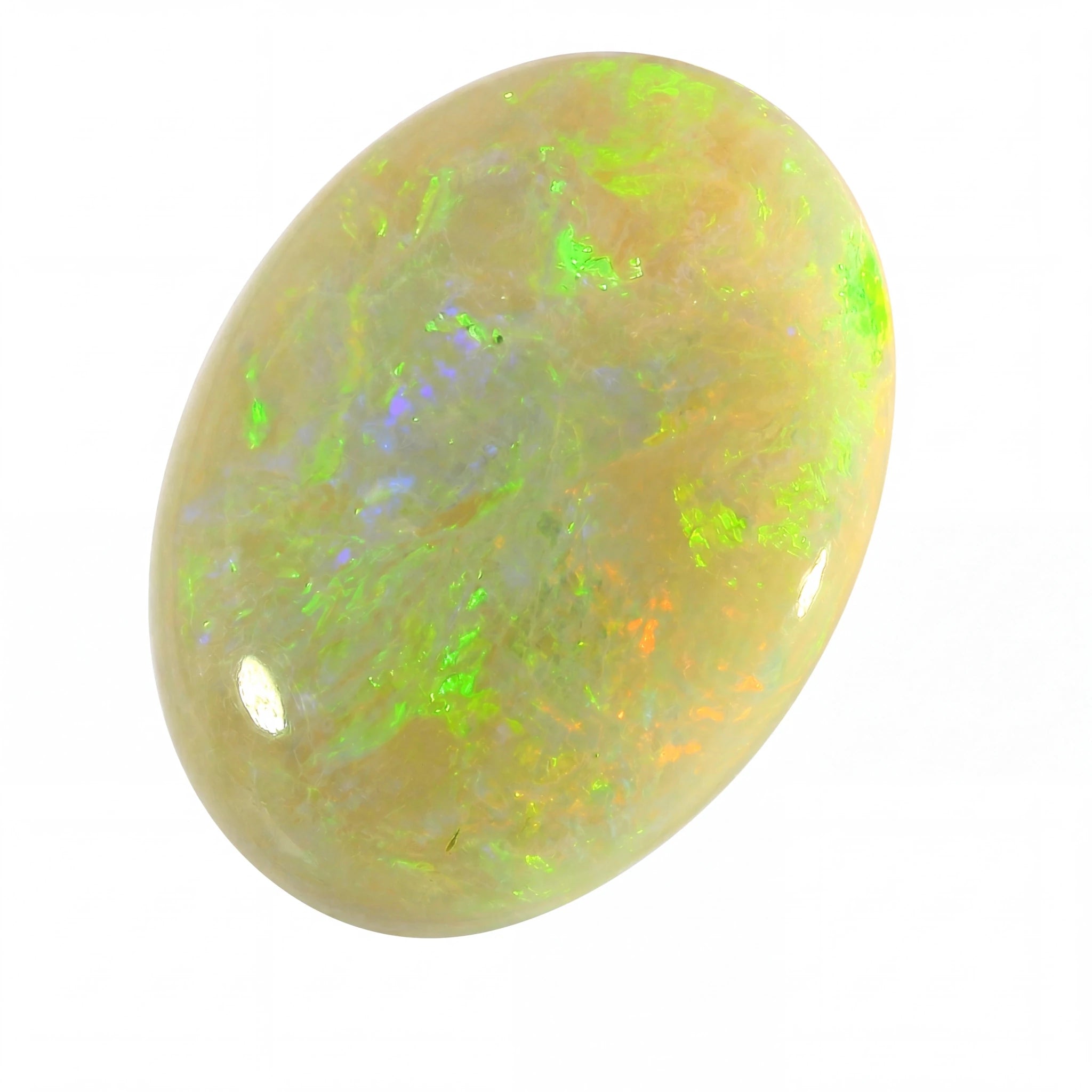 A polished oval cabochon gemstone with a creamy off-white base and vibrant, shifting flashes of neon green, blue, and orange, isolated on a white background.