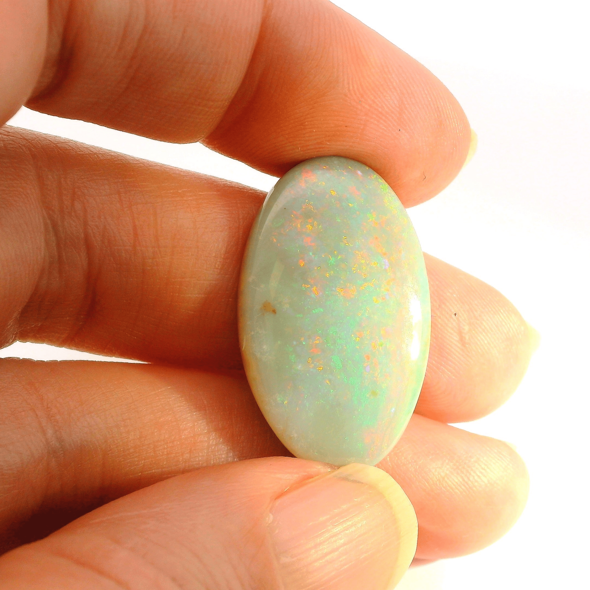 Stunning Opal Gemstone Display - Australian Opal Cutters and Pearl Divers