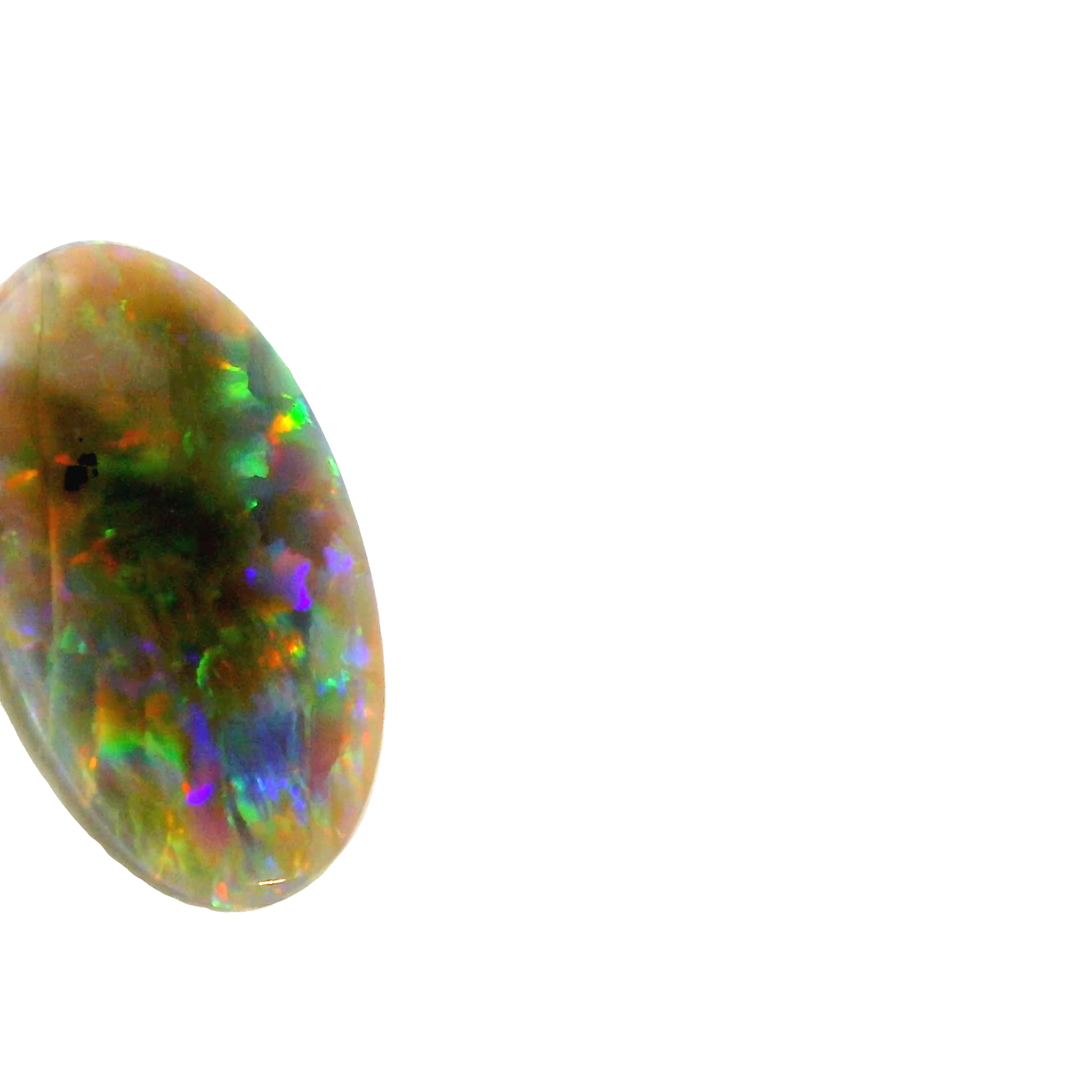 Vibrant Opal Gemstone Display - Australian Opal Cutters and Pearl Divers