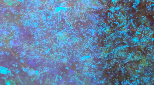 The World Record for the Largest Black Opal in existence!