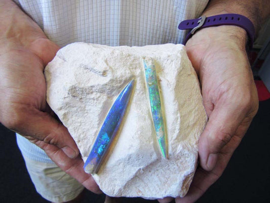 Discover The Mysteries Of Opalised Belemnites - Australian Opal Cutters and Pearl Divers