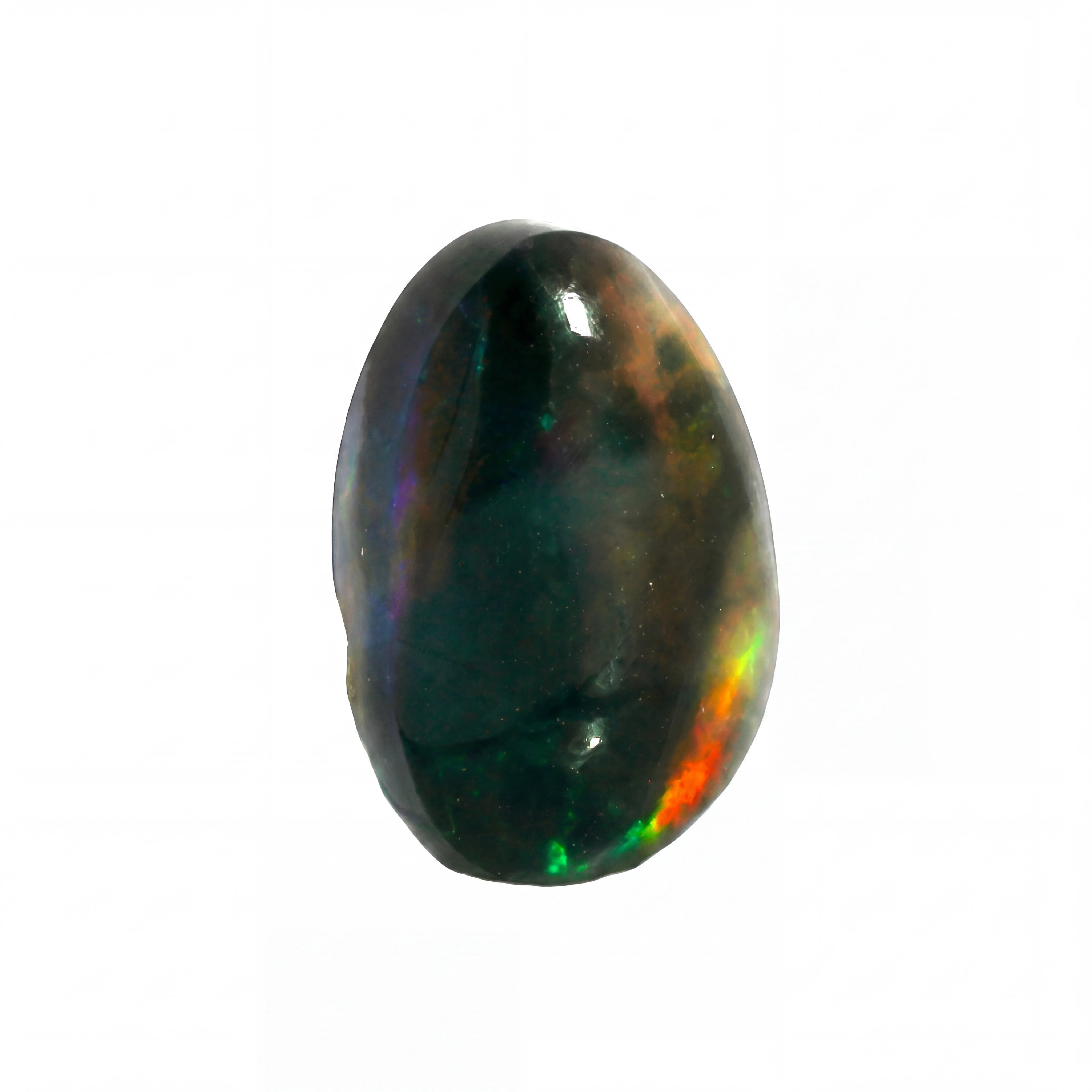 A polished black opal gemstone cabochon with vibrant iridescent flashes of green, orange, and purple, shown on a plain white background.