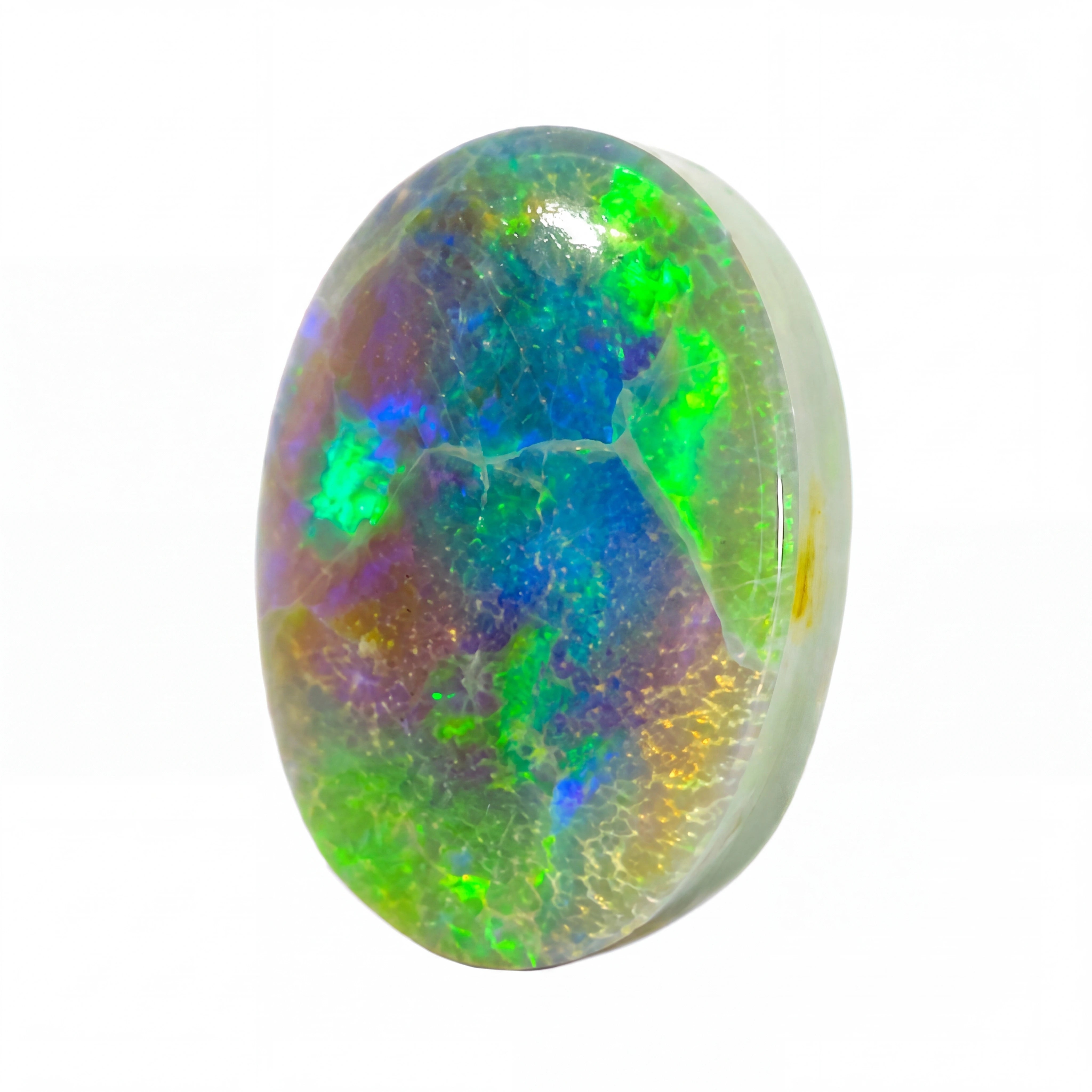 A polished oval cabochon opal gemstone displaying vibrant iridescent play-of-colour with green, blue, purple, and yellow flashes on a white background.