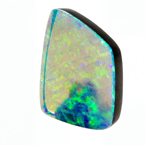 A polished natural opal gemstone with a dark black border, displaying vibrant iridescent flashes of blue, green, and yellow on a white background.