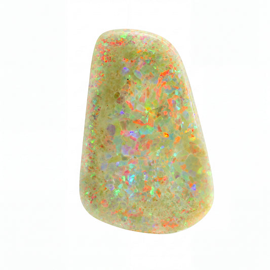 A polished natural opal gemstone with a light olive-green base and vibrant, shifting iridescent flashes of orange, red, blue, and purple, set against a plain white background.