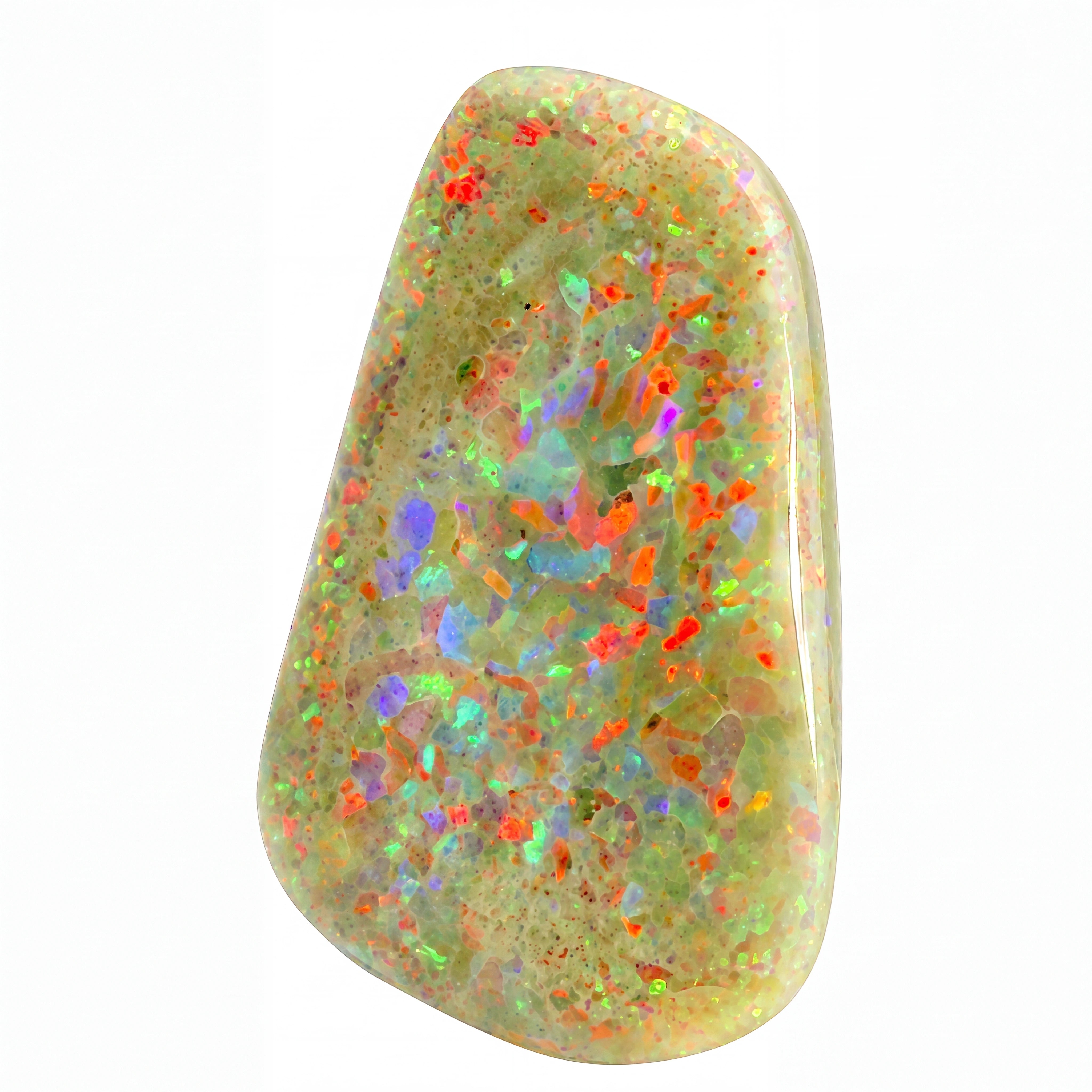 A polished white opal gemstone with vibrant, multicoloured flashes of red, orange, green, and purple on a clean white background.