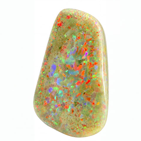 A polished white opal gemstone with vibrant, multicoloured flashes of red, orange, green, and purple on a clean white background.