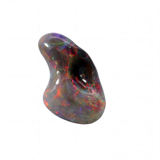 A polished irregular-shaped opal gemstone with a dark grey base and vibrant iridescent flashes of red, orange, purple, and blue, shown on a plain white background.