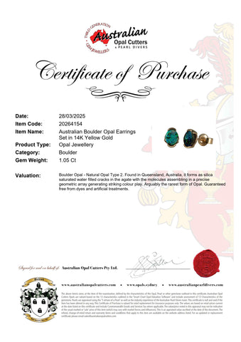 Boulder Opal Earrings in 14K White Gold - Multicolour