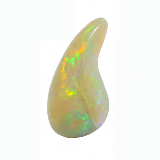 A polished teardrop-shaped opal gemstone with a creamy off-white base and vibrant iridescent flashes of green, yellow, and blue, set against a plain white background.