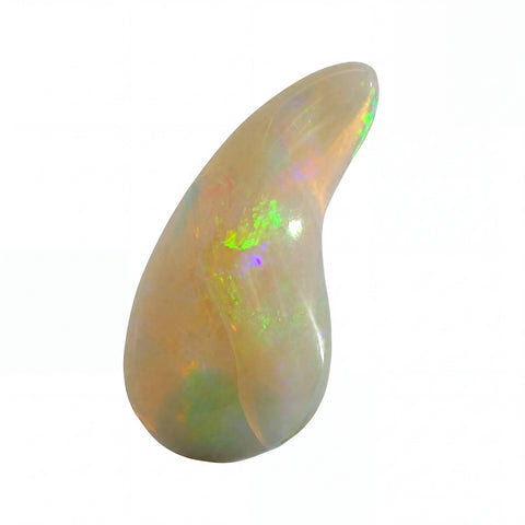 A polished teardrop-shaped opal gemstone with a smooth, curved surface, displaying a pearlescent off-white body with vibrant flashes of green, orange, and purple iridescence, set against a solid white background.