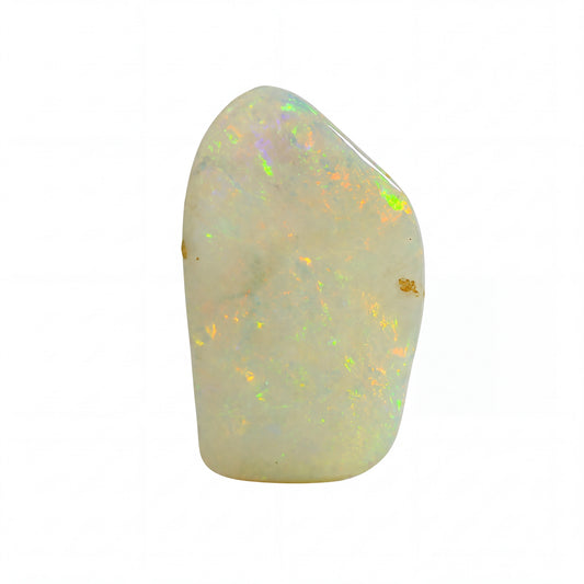 A raw, polished opal stone with a smooth, irregular shape, displaying a creamy off-white base with vibrant, shifting flashes of green, yellow, orange, and purple. Small brown inclusions are visible within the stone, set against a solid white background.
