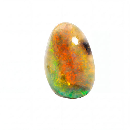 A polished teardrop-shaped opal gemstone displaying vibrant flashes of orange, green, yellow, and black on a clean white background.