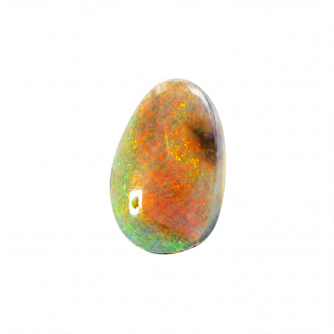 A polished teardrop-shaped cabochon opal gemstone displaying vibrant orange, red, green, and blue flashes on a clean white background.