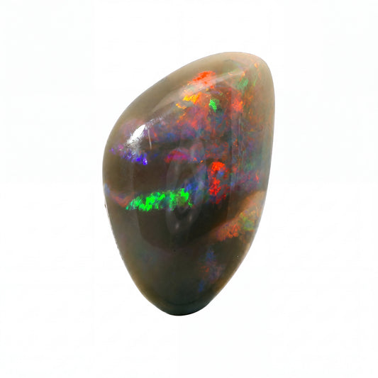 A polished black opal gemstone with vibrant, multicoloured flashes of red, orange, green, and purple, set against a plain white background.
