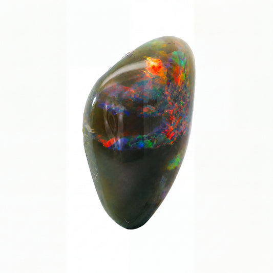 A polished teardrop-shaped black opal gemstone displaying vibrant, shifting iridescent flashes of red, orange, yellow, green, and blue on a solid white background.