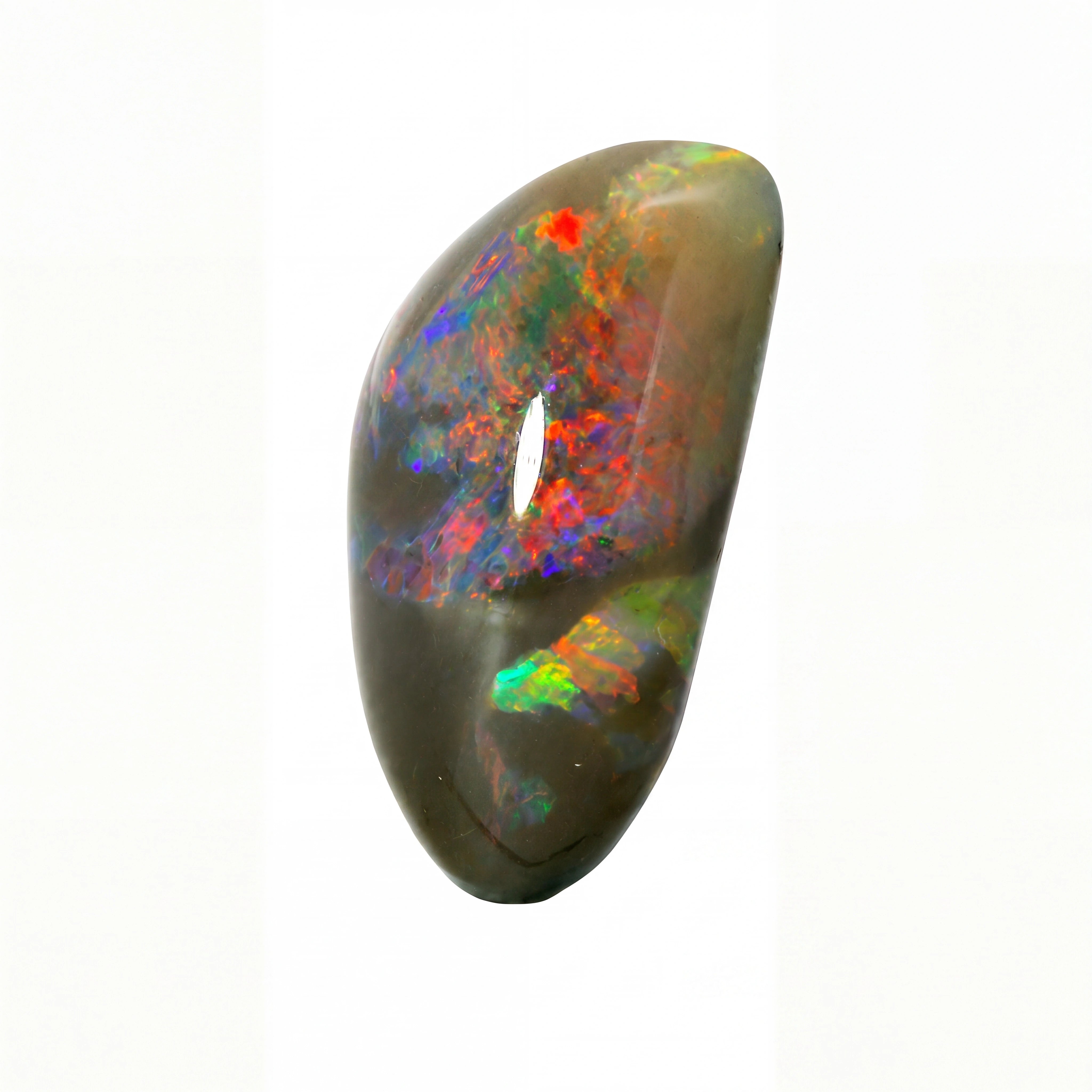 A polished teardrop-shaped opal gemstone with a dark brownish-grey base and vibrant, shifting iridescent flashes of red, orange, green, and blue, set against a plain white background.