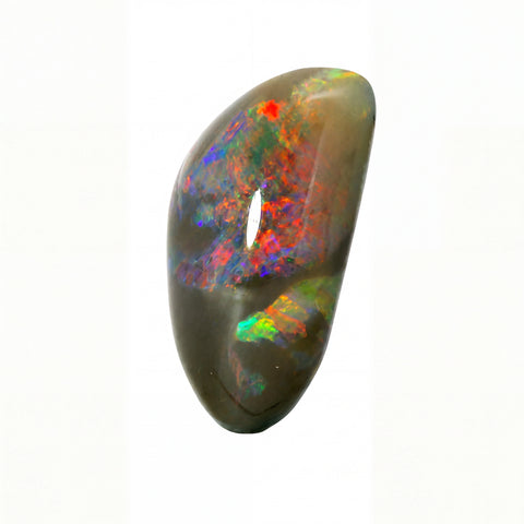 A polished teardrop-shaped opal gemstone with a dark brownish-grey base and vibrant, shifting iridescent flashes of red, orange, green, and blue, set against a plain white background.