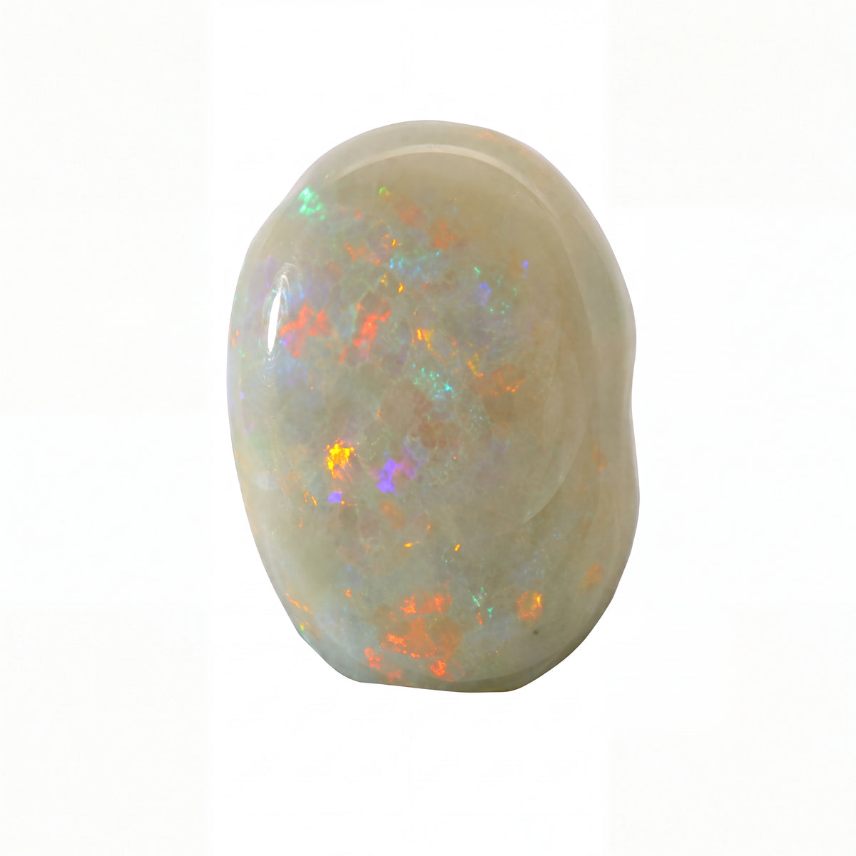 A polished white opal gemstone with vibrant, shifting iridescent flashes of orange, green, blue, and purple, set against a plain white background.