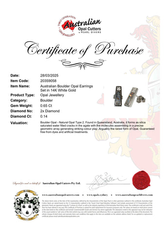 Boulder Opal Earrings in 14K White Gold - Multicolour