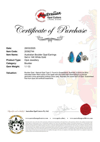 Boulder Opal Earrings in 14K White Gold - Green-Blue