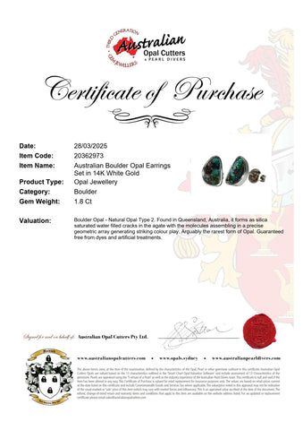 Boulder Opal Earrings in 14K White Gold - Green-Blue