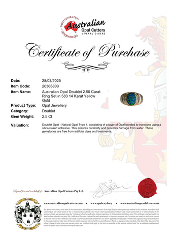 Doublet Opal Men's Ring in 14K Yellow Gold - Multicolour