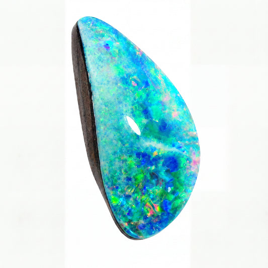 A teardrop-shaped natural opal gemstone cabochon with a dark brown backing, showcasing vibrant blue, green, and white play-of-colour, set against a plain white background.