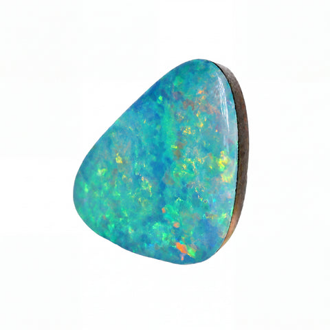 A polished teardrop-shaped opal gemstone with vibrant blue, green, and orange flashes, mounted on a dark brown wood backing, shown against a plain white background.
