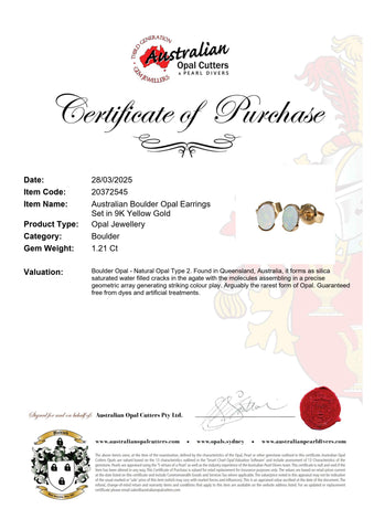 Boulder Opal Earrings in 14K Yellow Gold - Multicolour