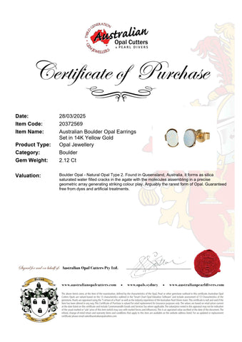 Boulder Opal Earrings in 14K Yellow Gold - Multicolour