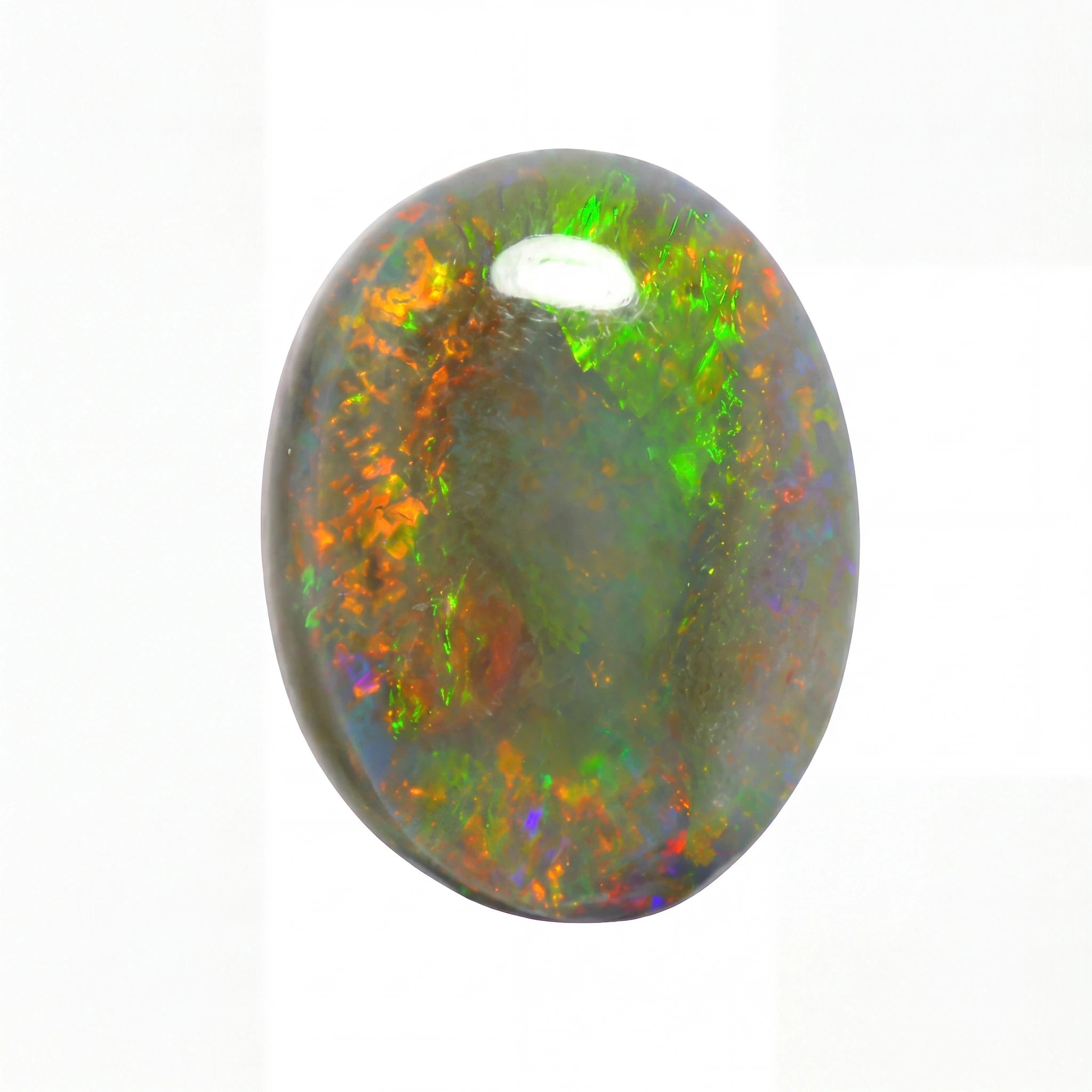 A polished oval cabochon gemstone showing a play-of-colour opal pattern with vibrant green, orange, red, and blue flashes against a dark grey base, set against a plain white background.